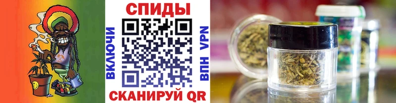 Купить где  Дыгулыбгей  Бутират буратино 