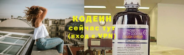 2c-b Инта